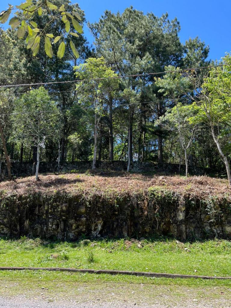 Terreno com 1198m² no bairro Golf Club em Gramado para Comprar