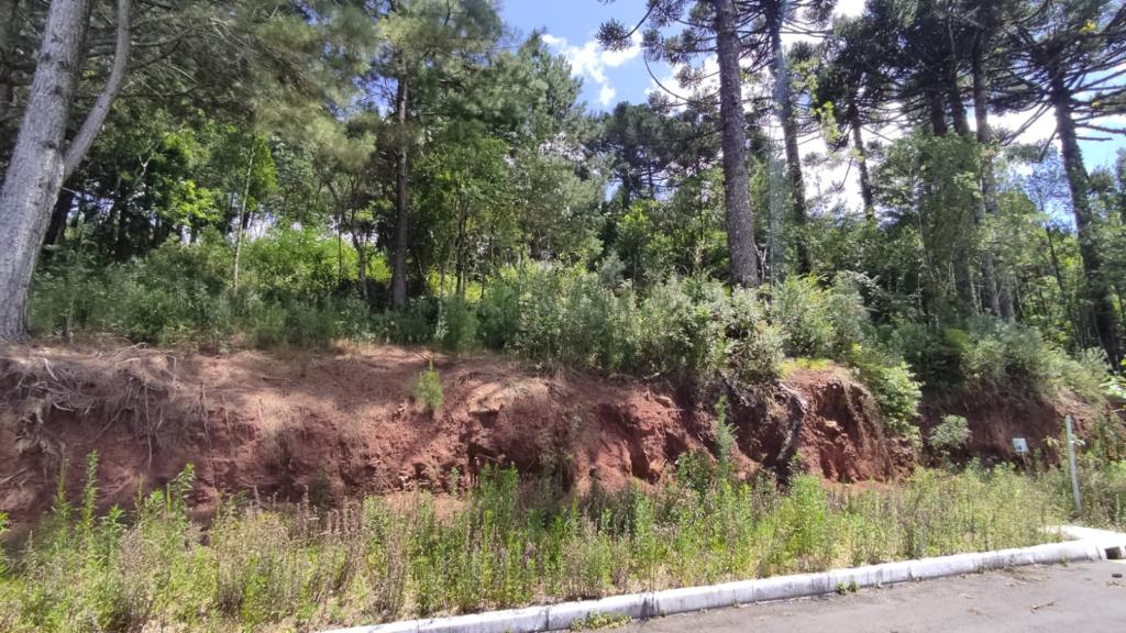 Terreno com 450m² no bairro Moura em Gramado para Comprar