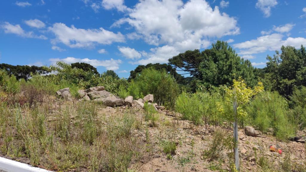 Terreno com 450m² no bairro Moura em Gramado para Comprar