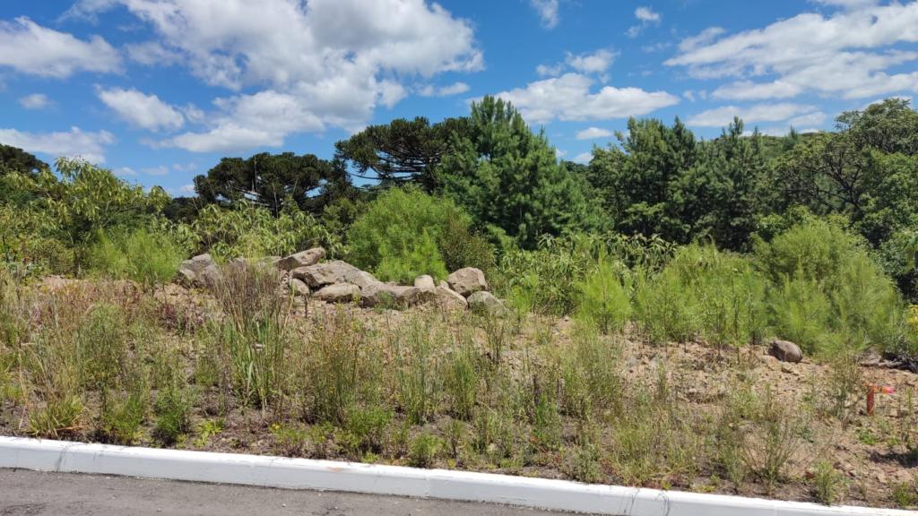 Terreno com 450m² no bairro Moura em Gramado para Comprar