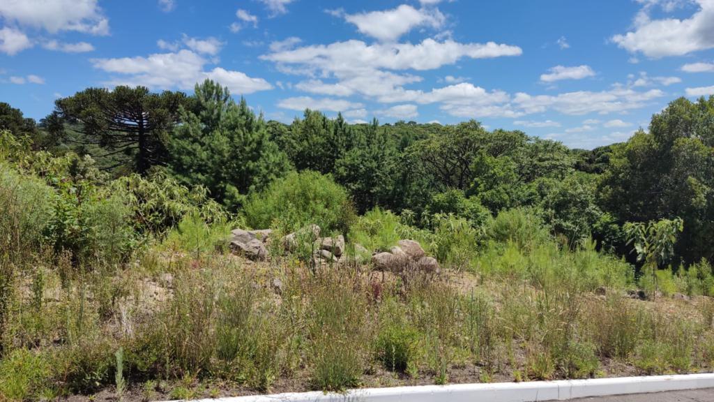 Terreno com 450m² no bairro Moura em Gramado para Comprar