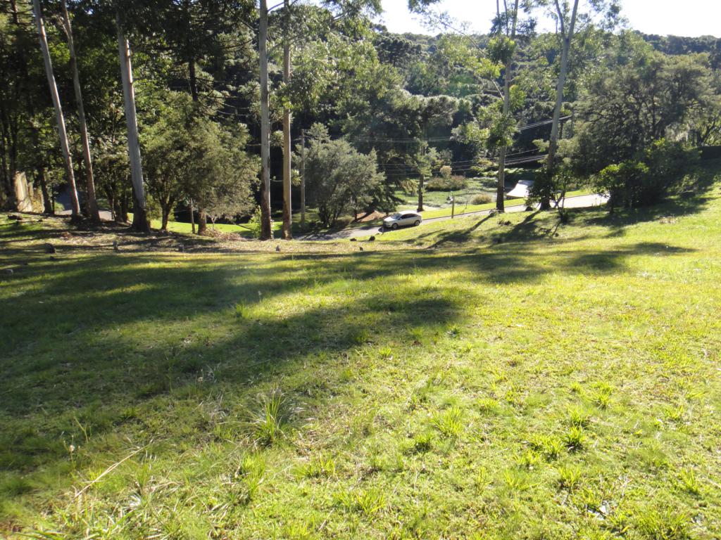 Terreno com 1246m² no bairro O Bosque em Gramado para Comprar