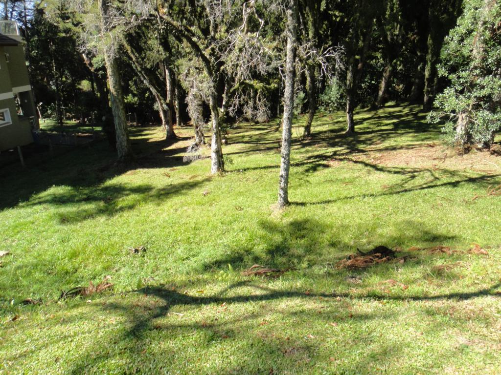 Terreno com 545m² no bairro Altos Pinheiros em Canela para Comprar