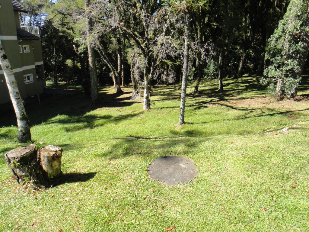 Terreno com 545m² no bairro Altos Pinheiros em Canela para Comprar