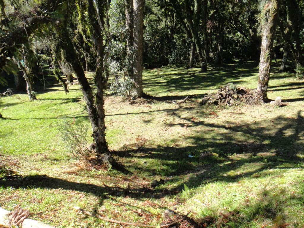 Terreno com 545m² no bairro Altos Pinheiros em Canela para Comprar