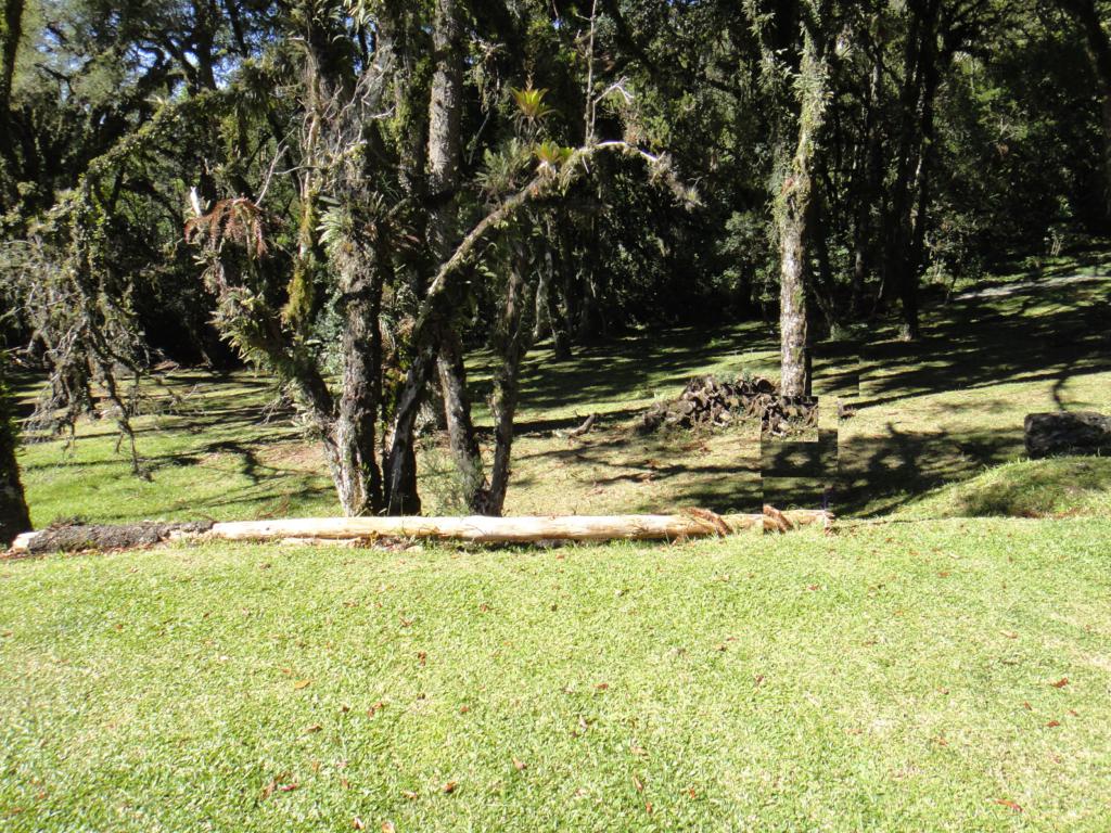 Terreno com 545m² no bairro Altos Pinheiros em Canela para Comprar