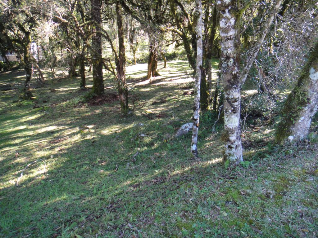 Terreno com 707m² no bairro Altos Pinheiros em Canela para Comprar