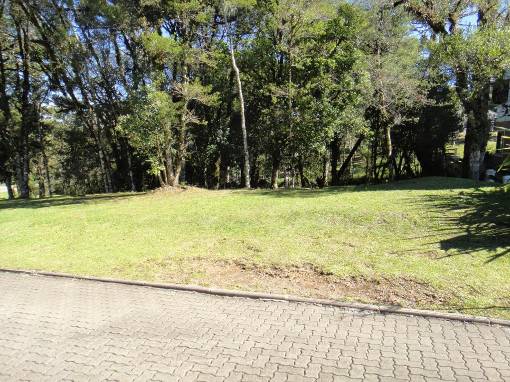 Terreno com 707m² no bairro Altos Pinheiros em Canela para Comprar