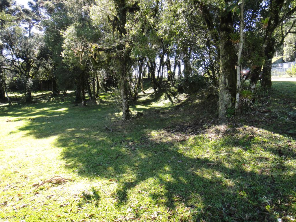 Terreno com 739m² no bairro Altos Pinheiros em Canela para Comprar