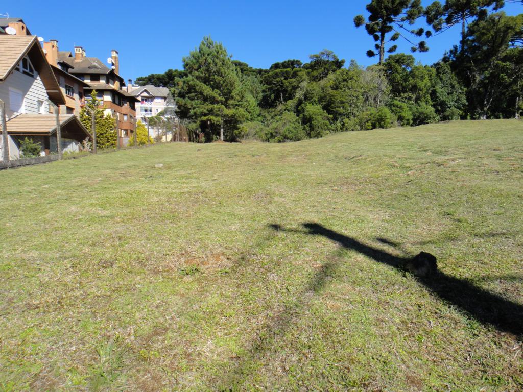 Terreno com 1294m² no bairro Altos Pinheiros em Canela para Comprar
