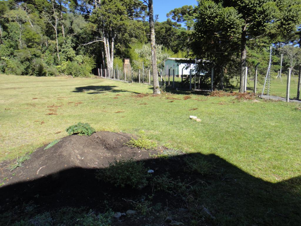 Terreno com 1975m² no bairro Altos Pinheiros em Canela para Comprar