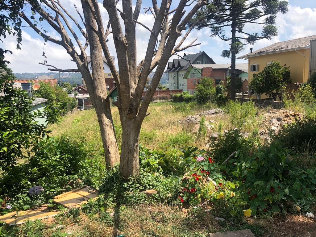 Terreno com 1094m² no bairro Floresta em Gramado para Comprar