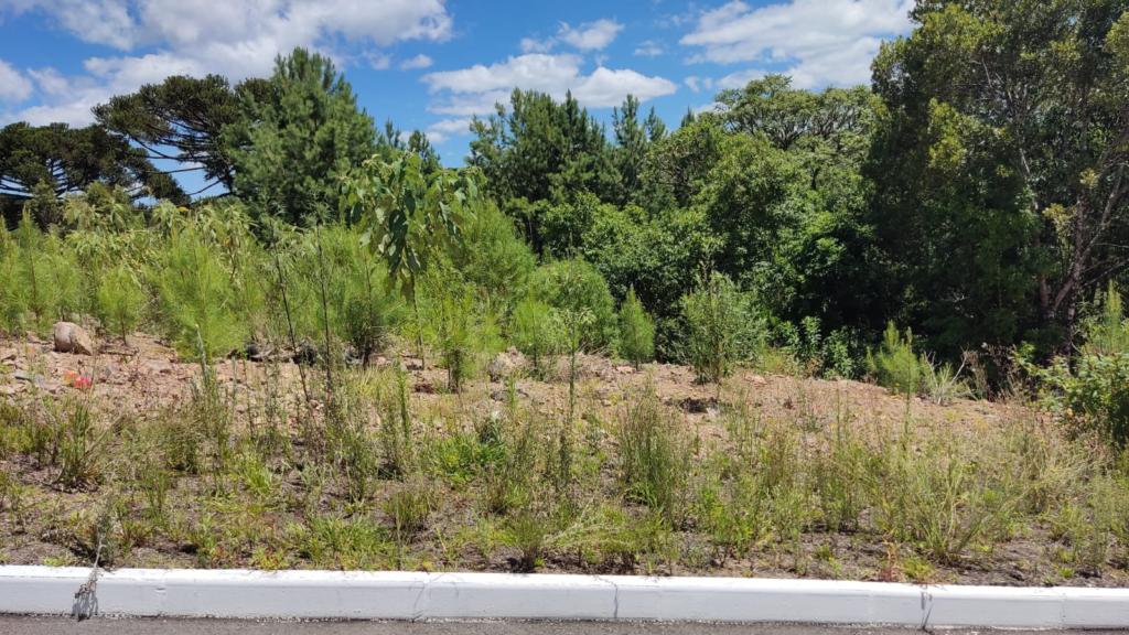 Terreno com 450m² no bairro Moura em Gramado para Comprar