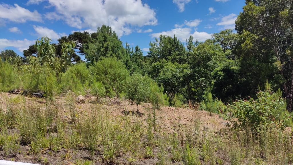 Terreno com 450m² no bairro Moura em Gramado para Comprar