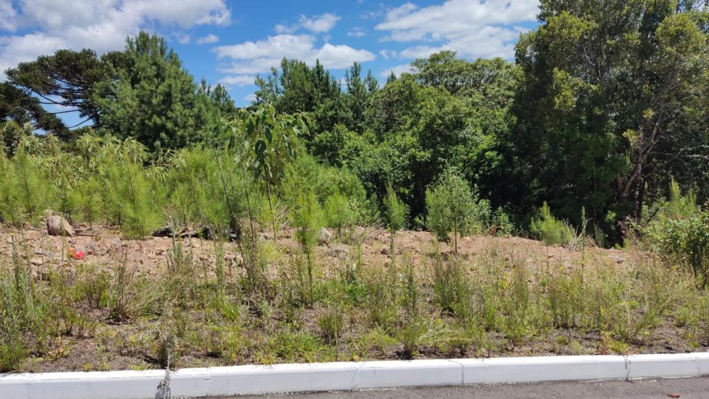 Terreno com 450m² no bairro Moura em Gramado para Comprar