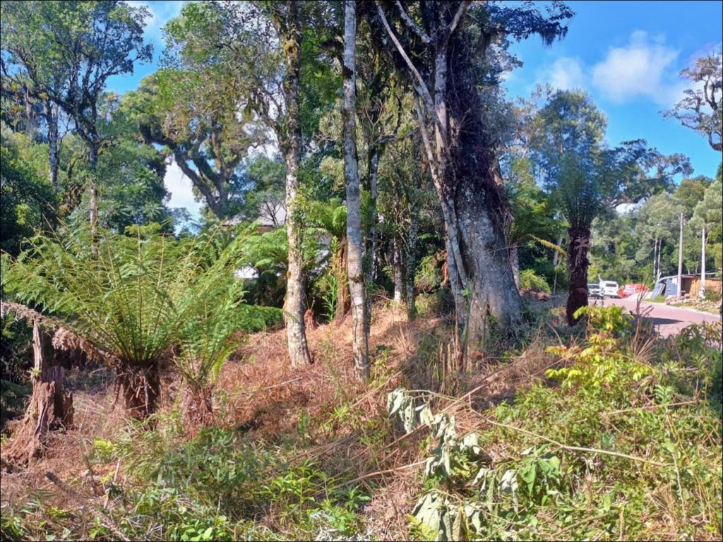 Terreno com 641m² no bairro Carniel em Gramado para Comprar