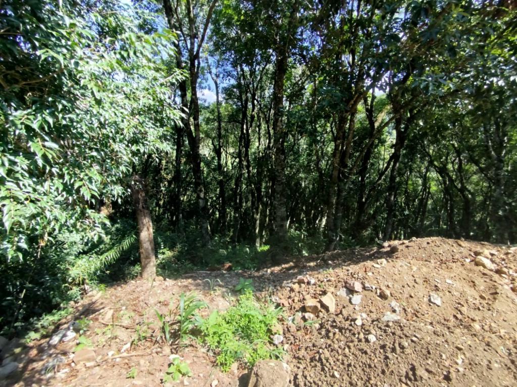 Terreno com 1031m² no bairro Villagio em Gramado para Comprar