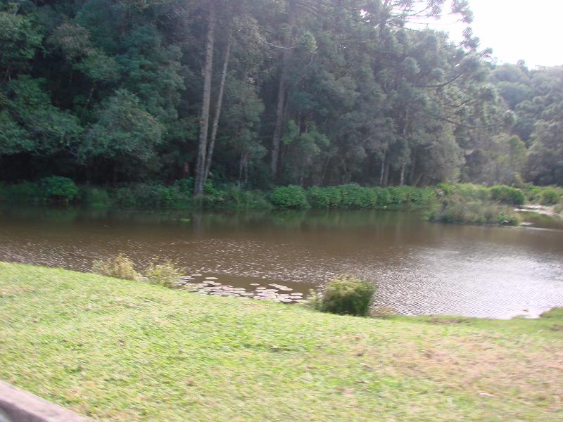 Terreno com 1174m² no bairro O Bosque em Gramado para Comprar