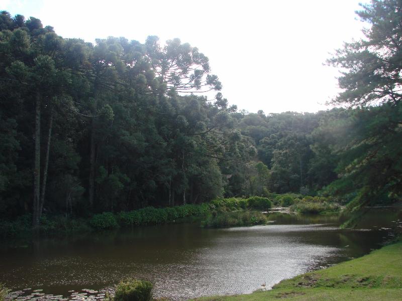 Terreno com 1174m² no bairro O Bosque em Gramado para Comprar