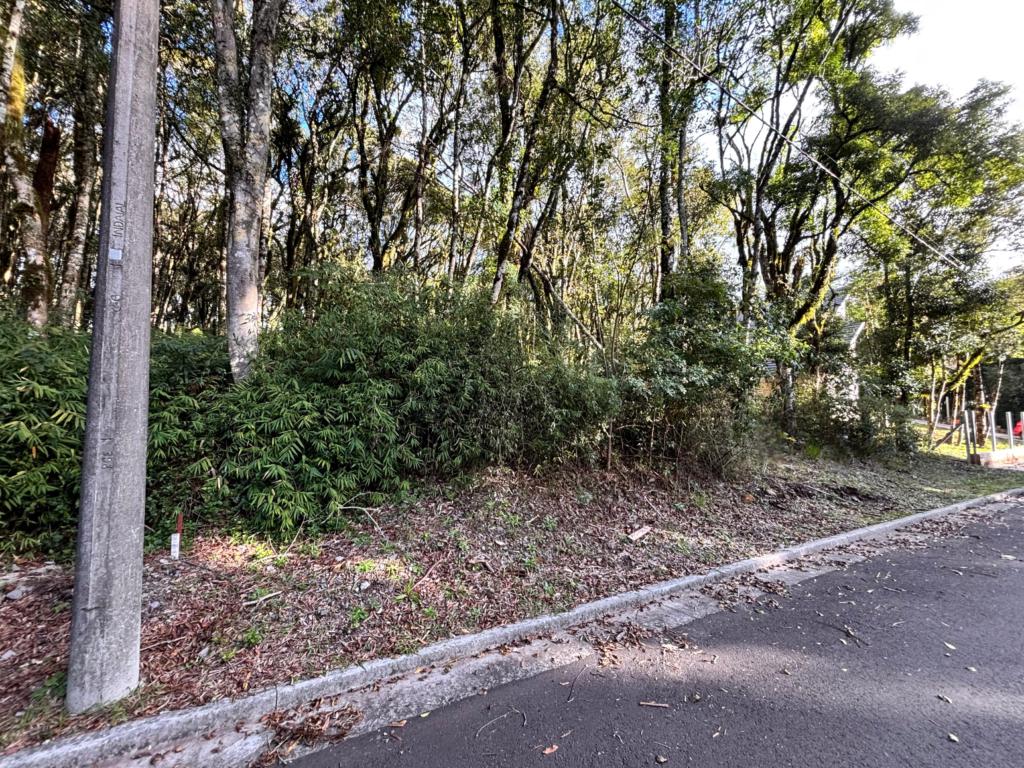 Terreno com 805m² no bairro Floresta em Gramado para Comprar