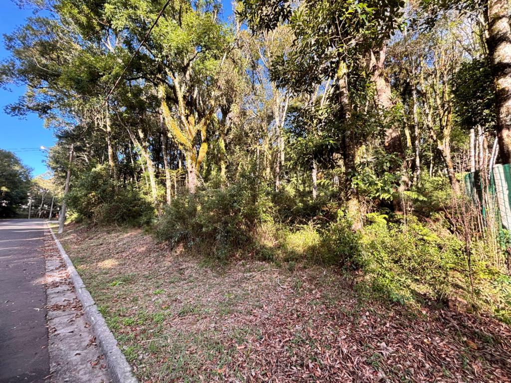 Terreno com 805m² no bairro Floresta em Gramado para Comprar