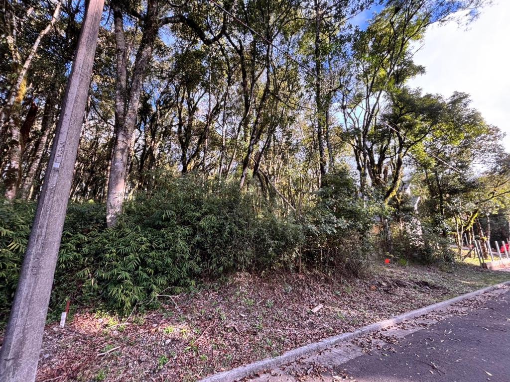 Terreno com 805m² no bairro Floresta em Gramado para Comprar