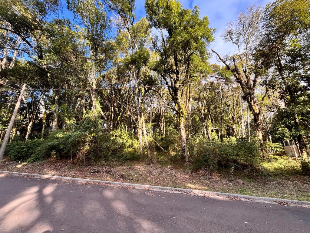 Terreno com 805m² no bairro Floresta em Gramado para Comprar