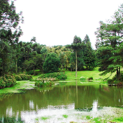 O Bosque em Gramado