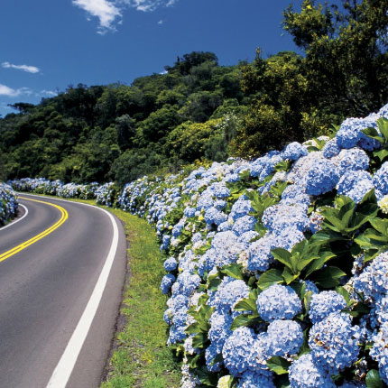 Prinstrop em Gramado