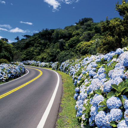 Serra Grande em Gramado